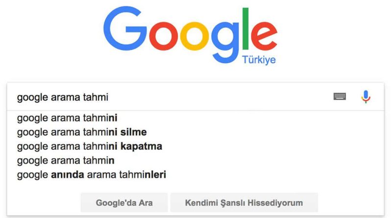 google-anında-arama